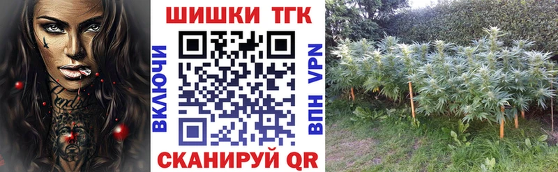 Бошки Шишки сатива кракен маркетплейс Киров купить наркотики цена